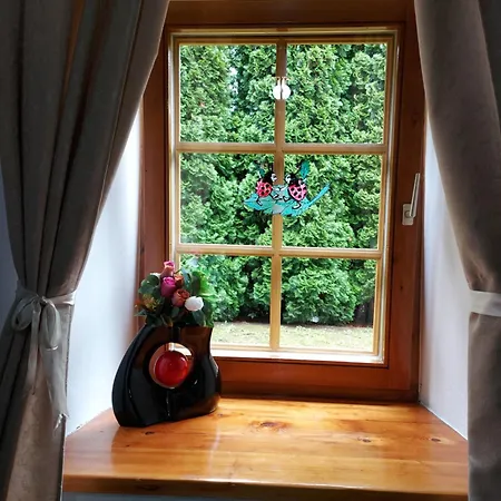 Blue House 아파트 Ramingstein