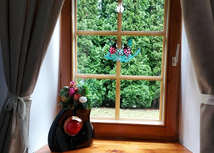 Blue House Daire Ramingstein